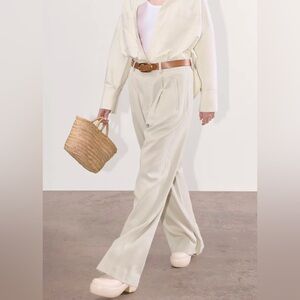 Everlane Draper Pleated Pant